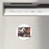 NATIEF AMERIKAANS MAGNEET (Insitu (Vaatwasser))