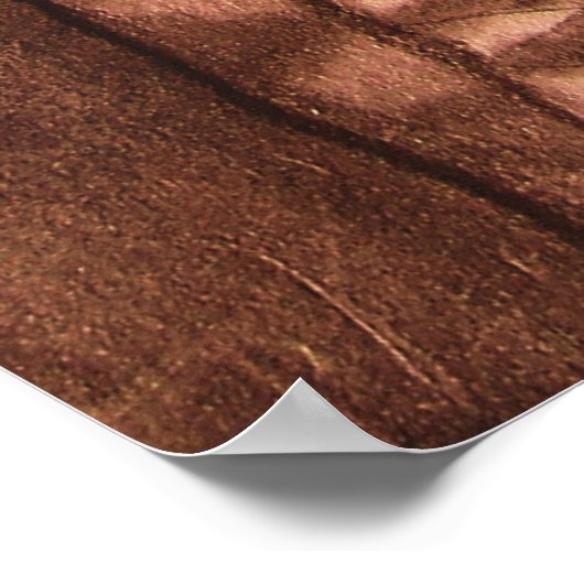 NATIEVE AMERIKAANSE MOEDER EN PAPOOSE POSTER (Hoek)