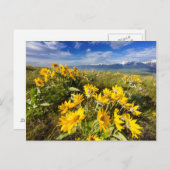 Nationaal Bison-bereik Briefkaart (Voorkant / Achterkant)