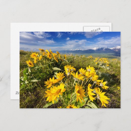 Nationaal Bison-bereik Briefkaart (Voorkant / Achterkant)