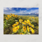 Nationaal Bison-bereik Briefkaart (Voorkant)