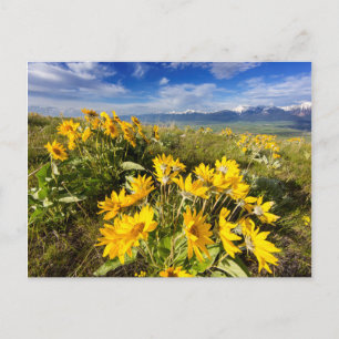 Nationaal Bison-bereik Briefkaart