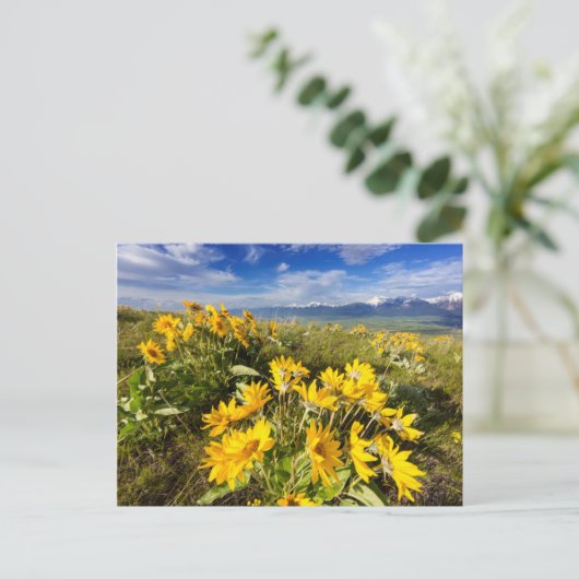 Nationaal Bison-bereik Briefkaart (Staand voorkant)