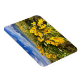 Nationaal Bison-bereik Magneet (Rechterzijde)