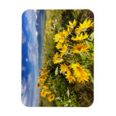 Nationaal Bison-bereik Magneet (Verticaal)