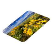 Nationaal Bison-bereik Magneet (Linkerzijde)