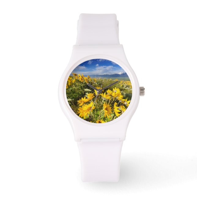 Nationaal Bisonreservaat Horloge (Voorkant)