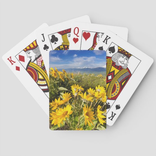 Nationaal Bisonreservaat Pokerkaarten (Achterkant)