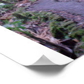 Nationaal bos El Yunque Poster (Hoek)