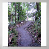 Nationaal bos El Yunque Poster (Voorkant)