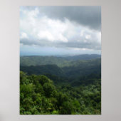 Nationaal bos El Yunque Poster (Voorkant)