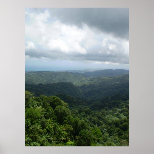 Nationaal bos El Yunque Poster (Voorkant)