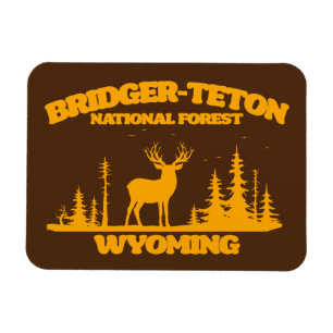 Nationaal bos van Bridger-Teton Magneet