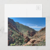 Nationaal bos van Coconino Briefkaart (Voorkant / Achterkant)