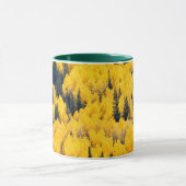 Nationaal bos van de witte rivier | Aspen, Colorad Mok (Midden)