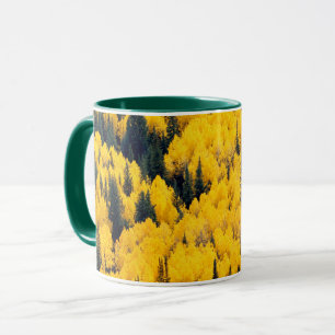 Nationaal bos van de witte rivier Aspen, Colorad Mok