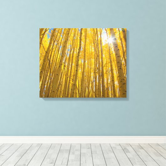 Nationaal bos van de witte rivier canvas afdruk (Insitu (Houten vloer))