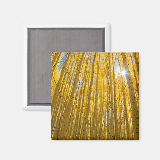 Nationaal bos van de witte rivier magneet (Voorkant / Achterkant)