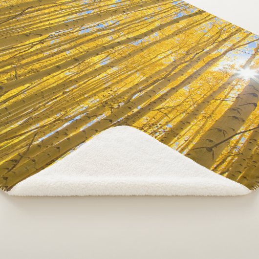 Nationaal bos van de witte rivier sherpa deken (3/4)