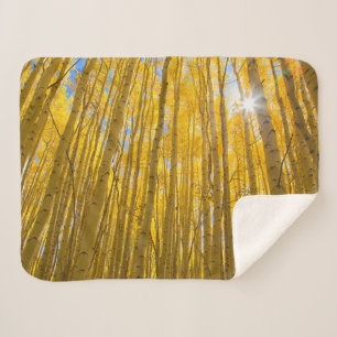 Nationaal bos van de witte rivier sherpa deken