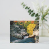 Nationaal bos van het Witte gebergte, NH Briefkaart (Staand voorkant)