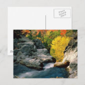 Nationaal bos van het Witte gebergte, NH Briefkaart (Voorkant / Achterkant)