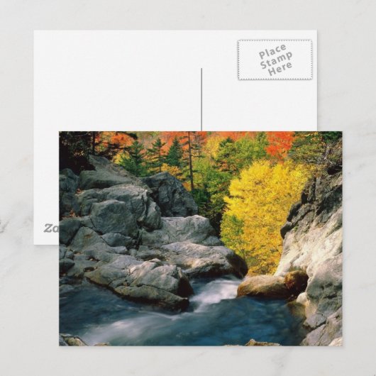 Nationaal bos van het Witte gebergte, NH Briefkaart (Voorkant / Achterkant)