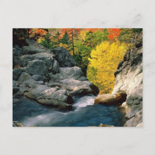 Nationaal bos van het Witte gebergte, NH Briefkaart