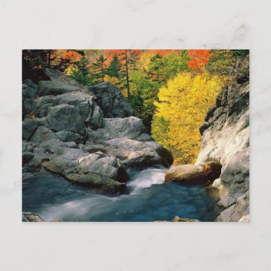 Nationaal bos van het Witte gebergte, NH Briefkaart (Voorkant)