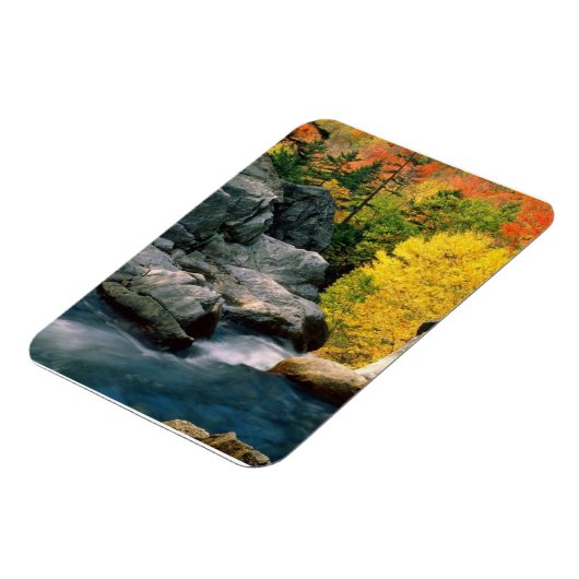 Nationaal bos van het Witte gebergte, NH Magneet (Linkerzijde)