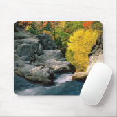 Nationaal bos van het Witte gebergte, NH Muismat (Met muis)