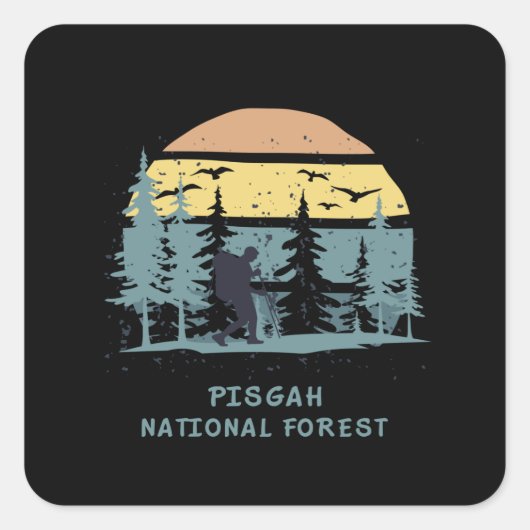 Nationaal bos van Pisgah Vierkante Sticker (Voorkant)