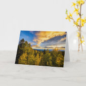 Nationaal bos van Santa Fe op zonsondergang in het Kaart (Gele Bloem)