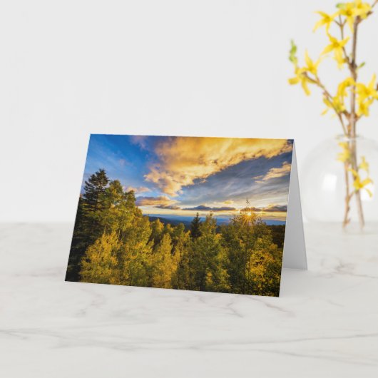 Nationaal bos van Santa Fe op zonsondergang in het Kaart (Gele Bloem)