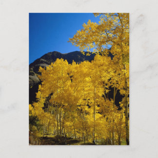 Nationaal Briefkaart van parken