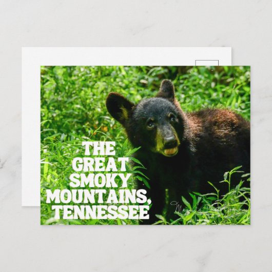 Nationaal Briefkaart voor het bos in het Grote Smo (Voorkant / Achterkant)