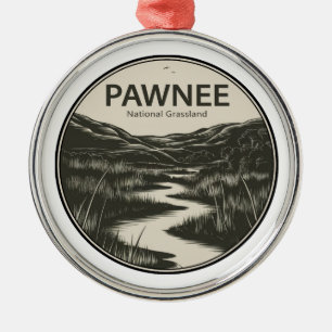 Nationaal grasland Pawnee Colorado Stroom Metalen Ornament