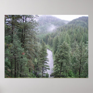 Nationaal herstelgebied Rattlesnake Poster