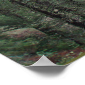 Nationaal herstelgebied Rattlesnake Poster (Hoek)