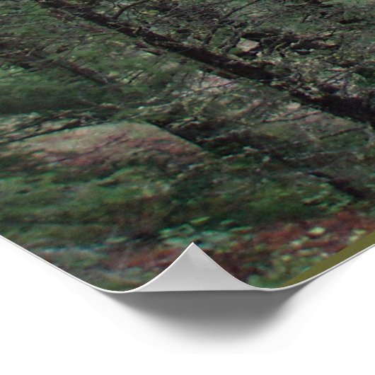 Nationaal herstelgebied Rattlesnake Poster (Hoek)