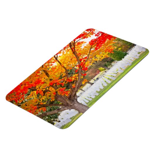 Nationaal kerkhof van Arlington in het najaar Magneet (Linkerzijde)