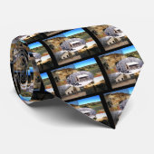 Nationaal militair park Pea Ridge Stropdas (Opgerold)