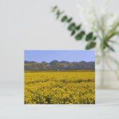 Nationaal monument van Carrizo Plain Briefkaart (Staand voorkant)