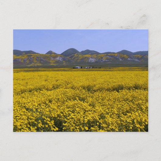 Nationaal monument van Carrizo Plain Briefkaart (Voorkant)