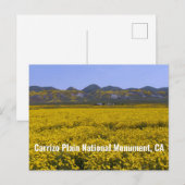 Nationaal monument van Carrizo Plain Briefkaart (Voorkant / Achterkant)