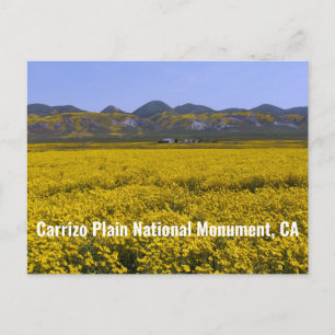 Nationaal monument van Carrizo Plain Briefkaart
