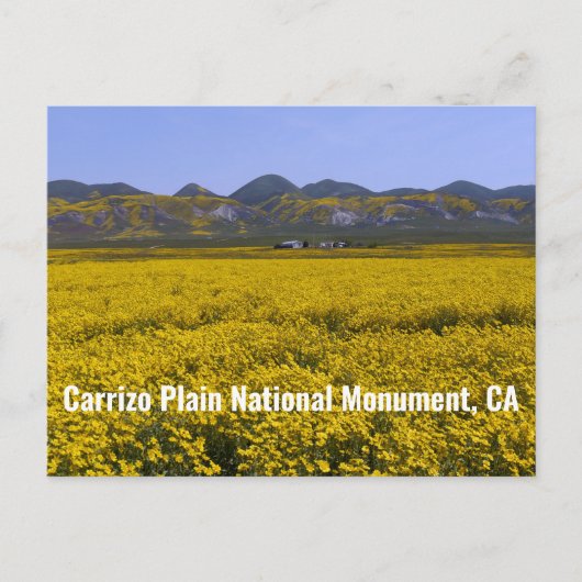 Nationaal monument van Carrizo Plain Briefkaart (Voorkant)