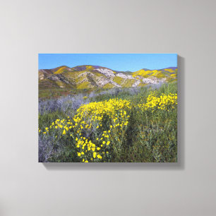 Nationaal monument van Carrizo Plain Canvas Afdruk