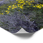Nationaal monument van Carrizo Plain Poster (Hoek)