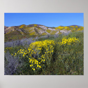 Nationaal monument van Carrizo Plain Poster